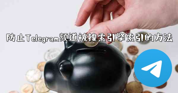 防止Telegram频道被搜索引擎索引的方法