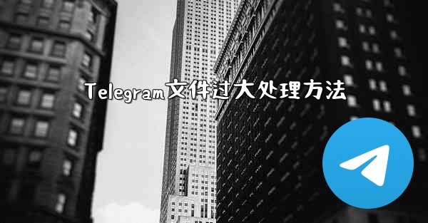 Telegram文件过大处理方法