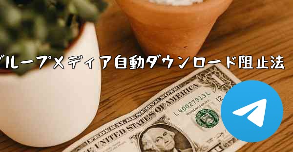 テレグラムでデータ通信量削減、特定グループメディア自動ダウンロード阻止法
