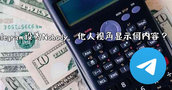 Telegram设为Nobody，他人视角显示何内容？