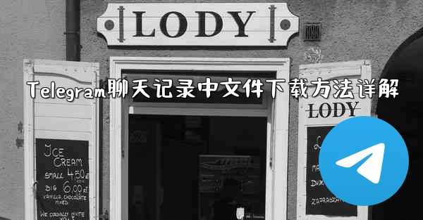 Telegram聊天记录中文件下载方法详解