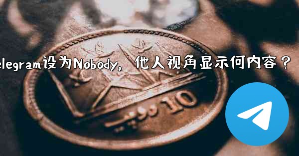 Telegram を「Nobody」に設定すると、他の人には何が表示されますか？-Telegram设为Nobody，他人视角显示何内容？