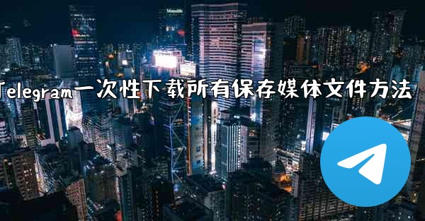 Telegram に保存されたすべてのメディア ファイルを一度にダウンロードするにはどうすればよいですか？-Telegram一次性下载所有保存媒体文件方法