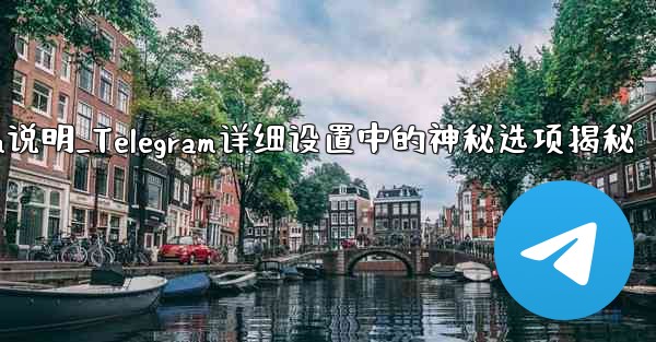 telegram说明_Telegram详细设置中的神秘选项揭秘