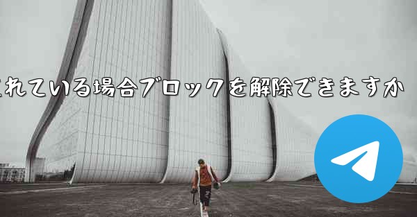 Paper Plane アカウントがブロックされている場合ブロックを解除できますか