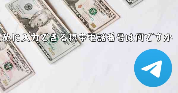 Paper Plane にログインするために入力できる携帯電話番号は何ですか
