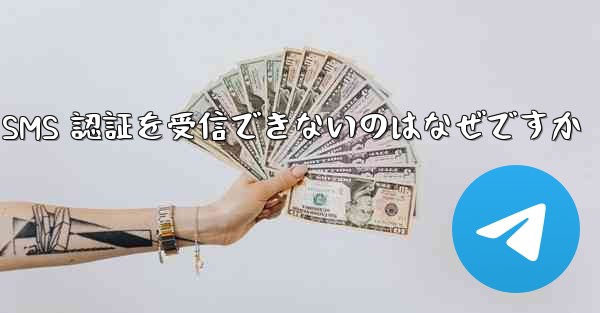 Paper Plane が SMS 認証を受信できないのはなぜですか