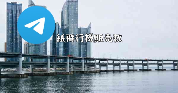 紙飛行機販売数