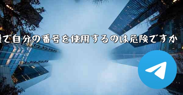 紙飛行機で自分の番号を使用するのは危険ですか