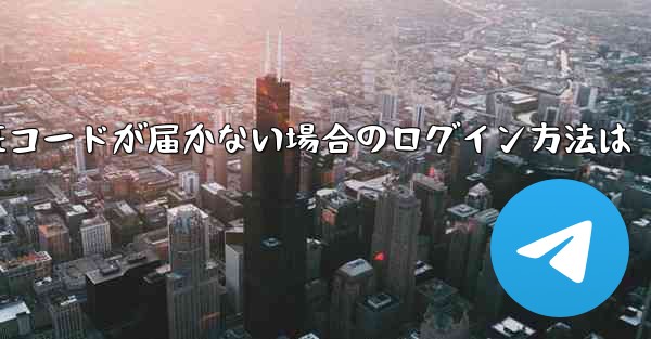 紙飛行機の国内番号で認証コードが届かない場合のログイン方法は