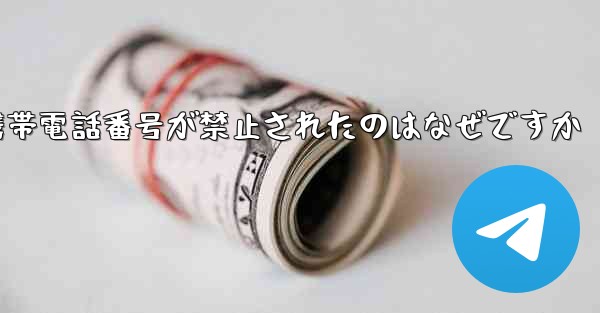 Paper Plane の携帯電話番号が禁止されたのはなぜですか