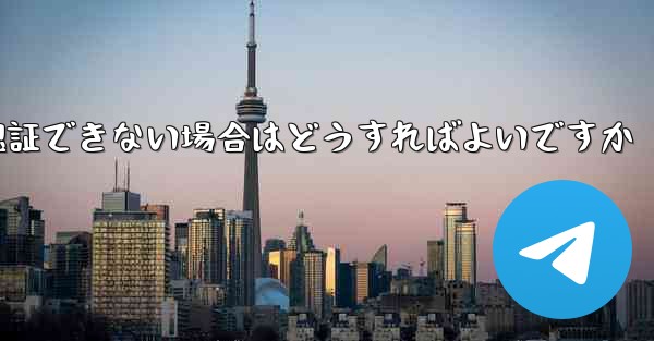 Paper Plane の携帯電話番号が認証できない場合はどうすればよいですか