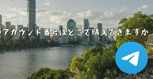 紙飛行機のアカウント番号はどこで購入できますか