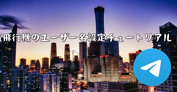 紙飛行機のユーザー名設定チュートリアル