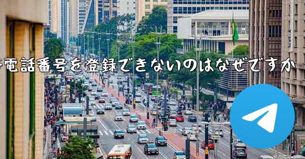 飛行機に国内の携帯電話番号を登録できないのはなぜですか