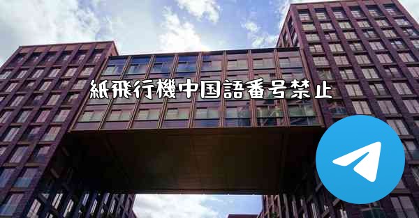 紙飛行機中国語番号禁止