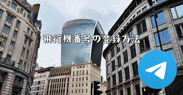 飛行機番号の登録方法