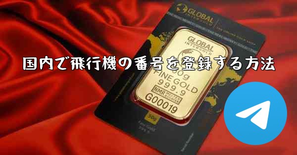 国内で飛行機の番号を登録する方法