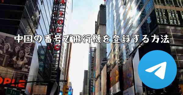 中国の番号で飛行機を登録する方法