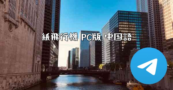 紙飛行機 PC版 中国語