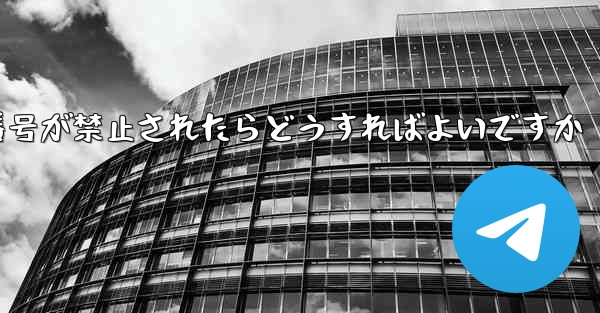 私の紙飛行機の携帯電話番号が禁止されたらどうすればよいですか