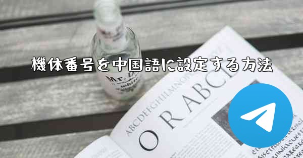 機体番号を中国語に設定する方法