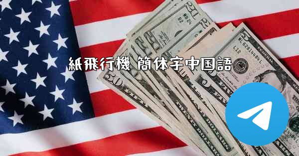 紙飛行機 簡体字中国語