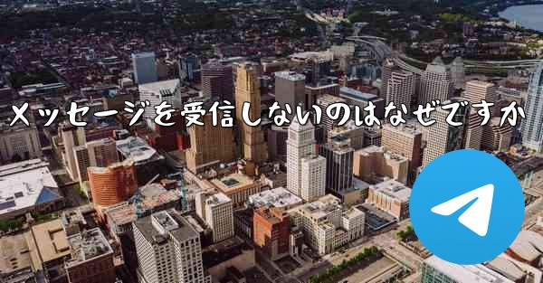 Paper Plane が確認テキスト メッセージを受信しないのはなぜですか