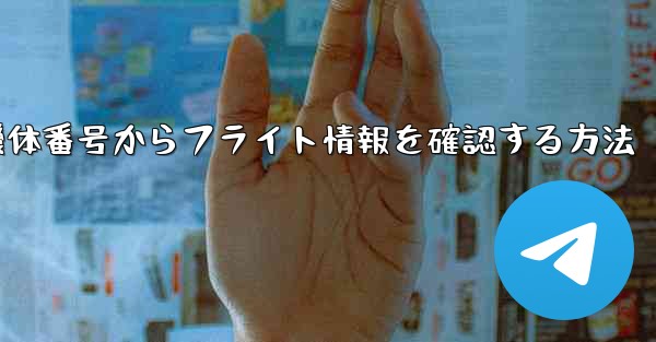 機体番号からフライト情報を確認する方法