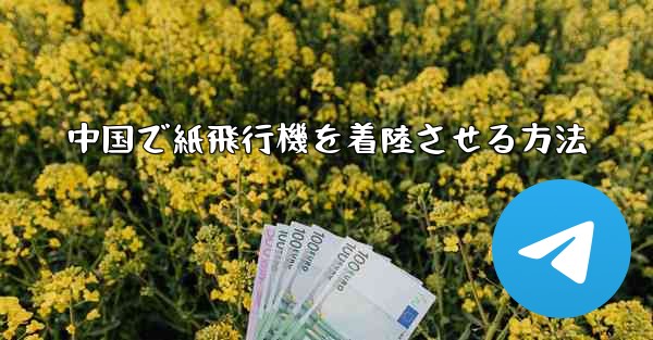 中国で紙飛行機を着陸させる方法