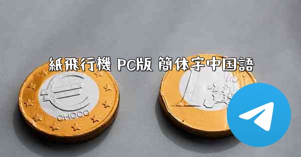 紙飛行機 PC版 簡体字中国語