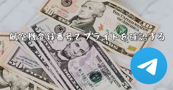 航空機登録番号でフライトを確認する