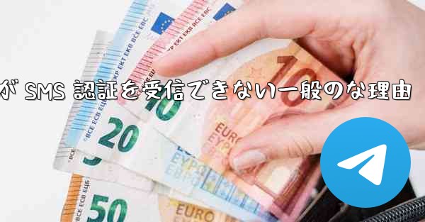 Paper Plane が SMS 認証を受信できない一般のな理由