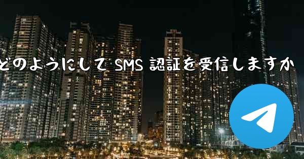 Paper Plane はどのようにして SMS 認証を受信しますか