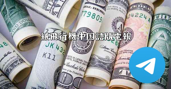 紙飛行機中国語版電報