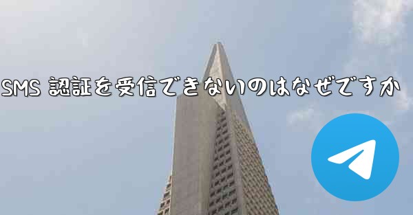 Paper Plane が SMS 認証を受信できないのはなぜですか