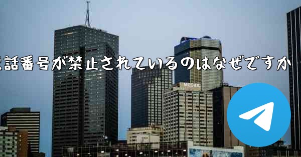 Paper Plane の携帯電話番号が禁止されているのはなぜですか