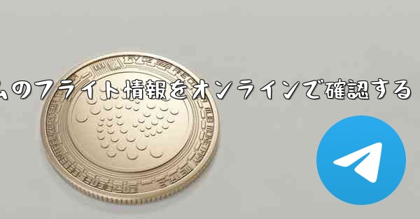 リアルタイムのフライト情報をオンラインで確認する