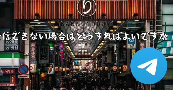 Paper Plane の国内携帯電話番号で認証コードを受信できない場合はどうすればよいですか