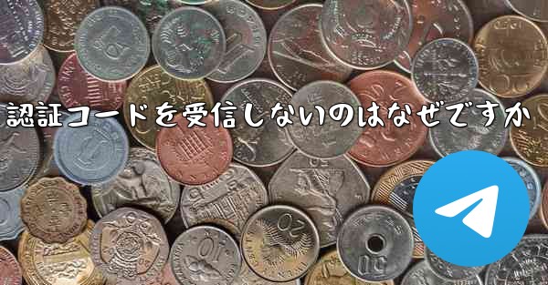 Paper Plane が SMS 認証コードを受信しないのはなぜですか