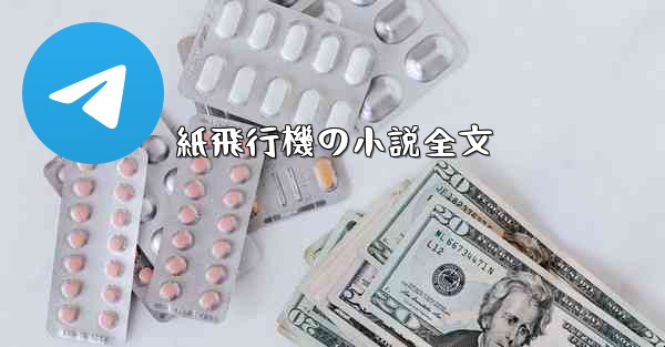 紙飛行機の小説全文