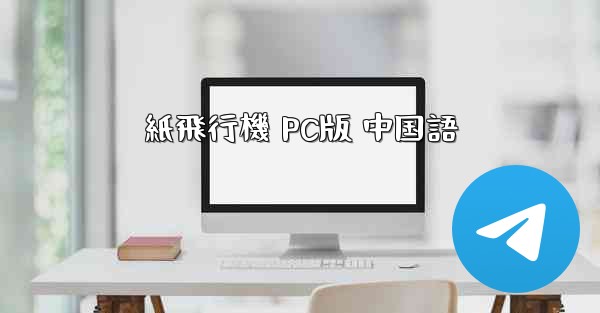 紙飛行機 PC版 中国語