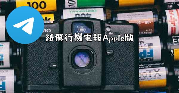 紙飛行機電報Apple版