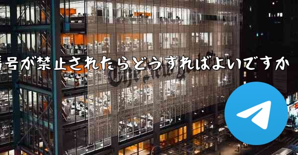 私の紙飛行機の携帯電話番号が禁止されたらどうすればよいですか