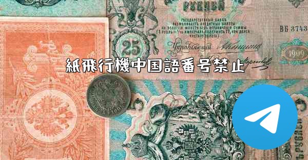 紙飛行機中国語番号禁止