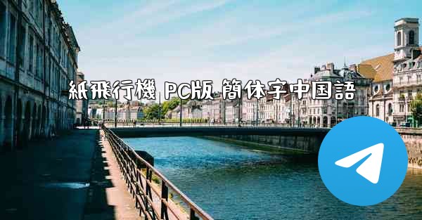 紙飛行機 PC版 簡体字中国語