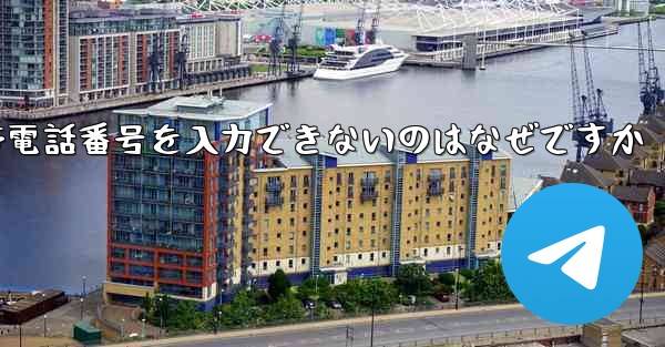 Paper Plane の携帯電話番号を入力できないのはなぜですか