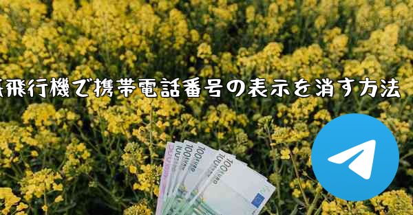 紙飛行機で携帯電話番号の表示を消す方法