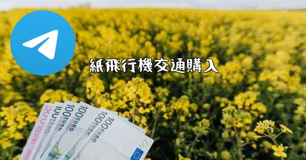 紙飛行機交通購入