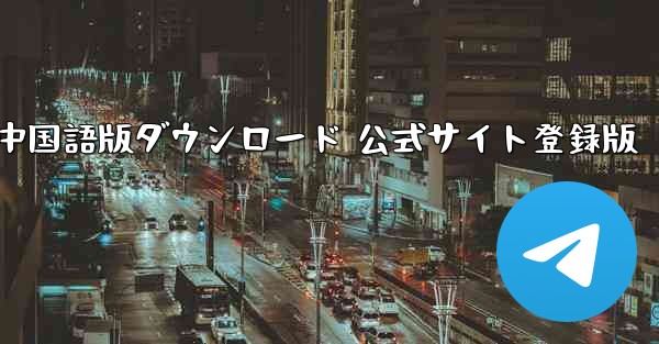 Paper Plane 中国語版ダウンロード 公式サイト登録版